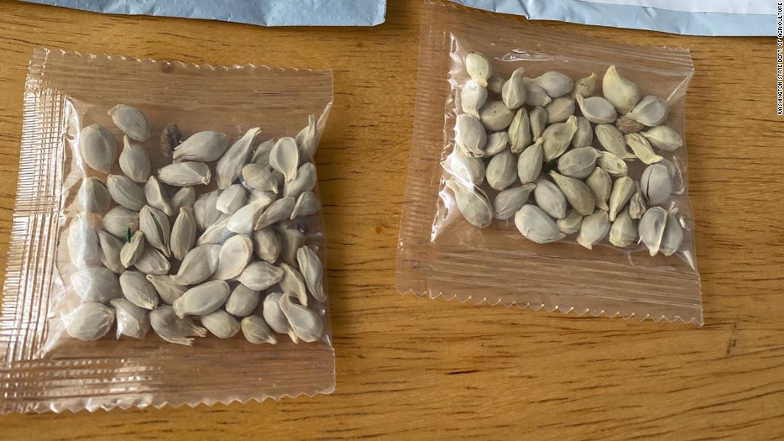 Amazon Bans Foreign Seed Sales In The US, After Mystery Packages Sent ...